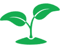 Biotechnology and green technology
