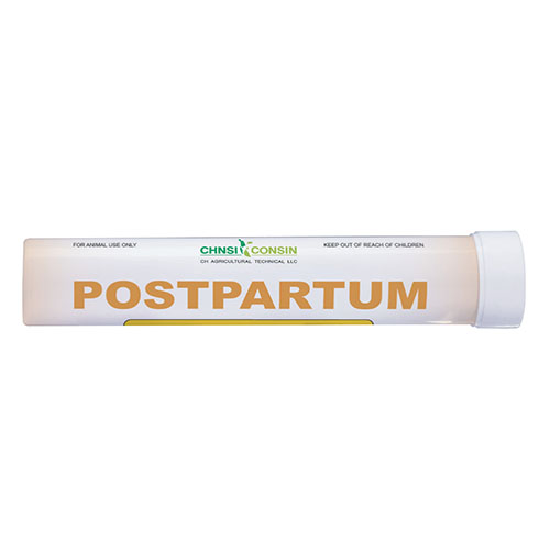 POSTPARTUM